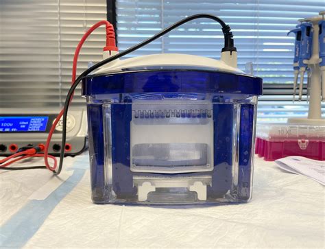 buffer electric current in the electrophoresis box|electrophoresis running buffer.